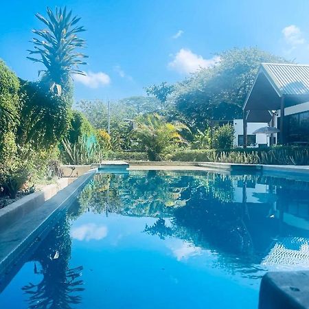 Villas Cabuya Beach & Jungle Buitenkant foto